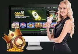 8 cassino app